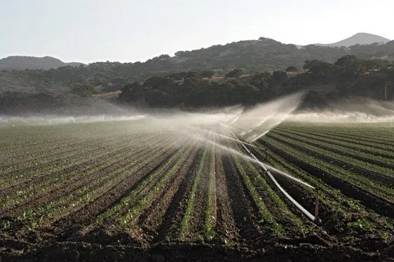 Campos de regadío