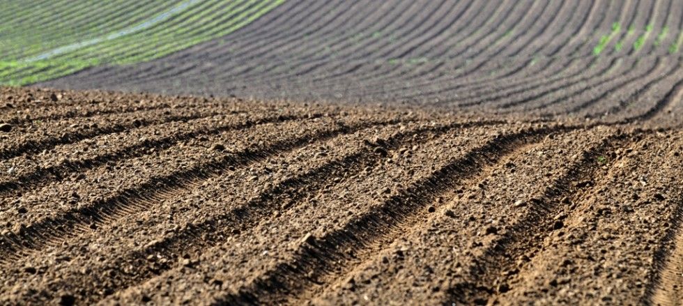 El suelo agrario en España suma 16,9 millones de hectáreas en nuestro país